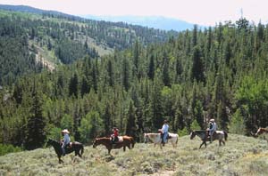 Group on horseback ride on vista hill.
