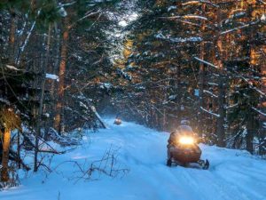Snowmobilers on forest trail.